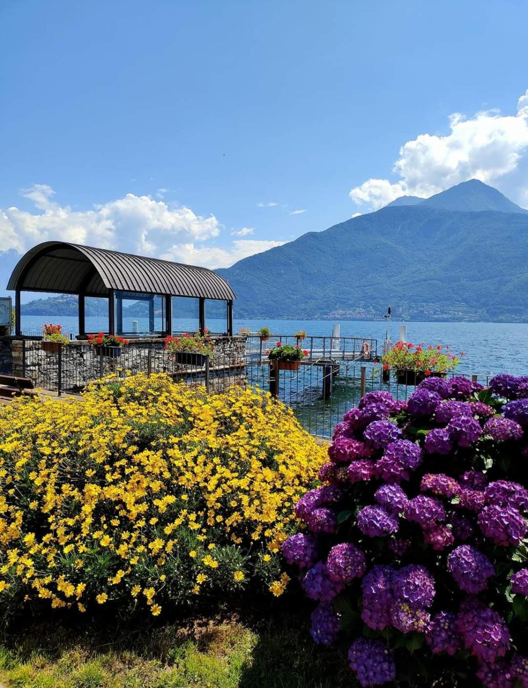 Balcony On Lake Pianello Pianello Del Lario Εξωτερικό φωτογραφία