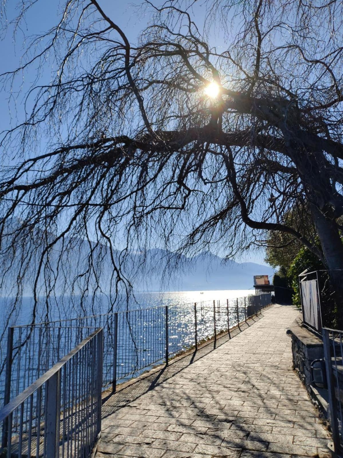 Balcony On Lake Pianello Pianello Del Lario Εξωτερικό φωτογραφία